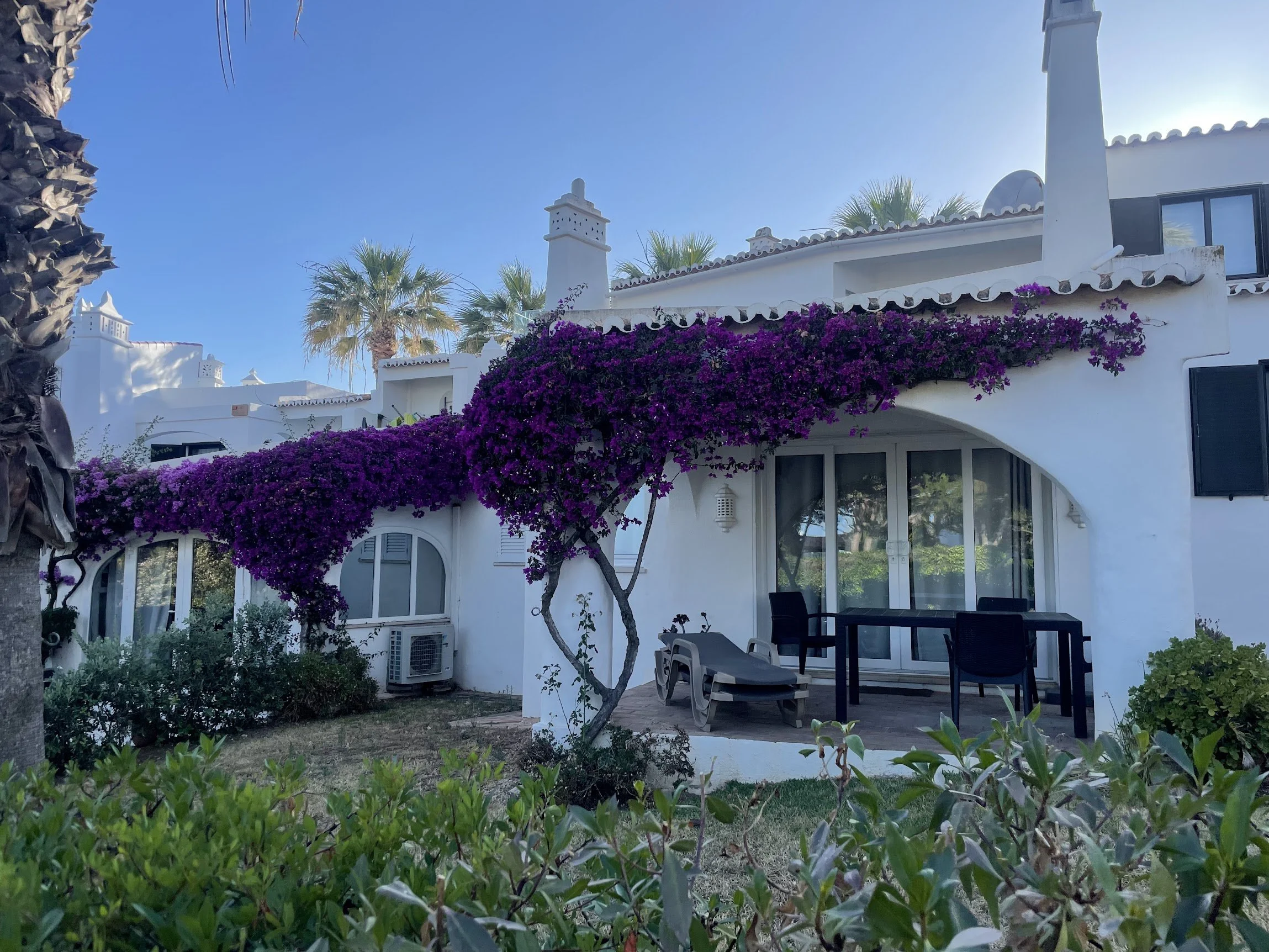 Purple bougainvillea framing a whitewashed village above the sea