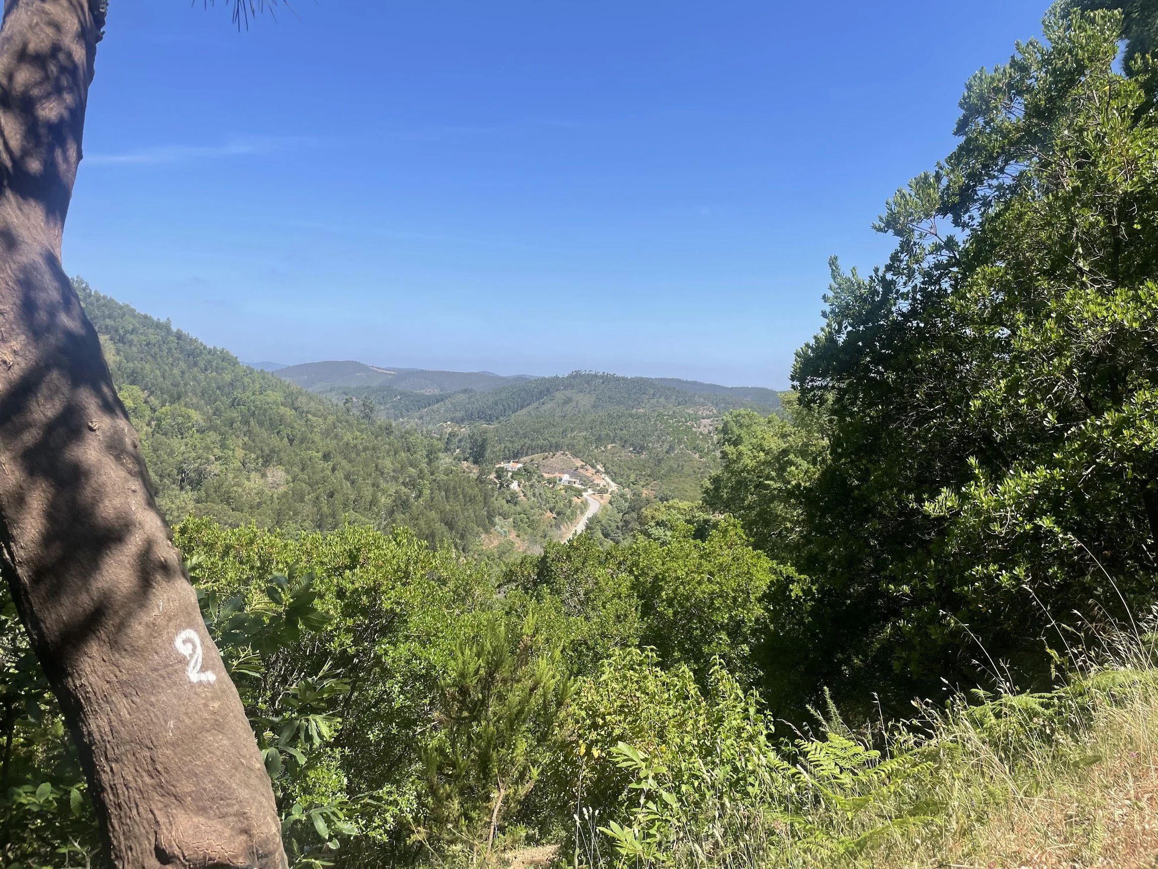 The green rolling hills of the Algarve countryside