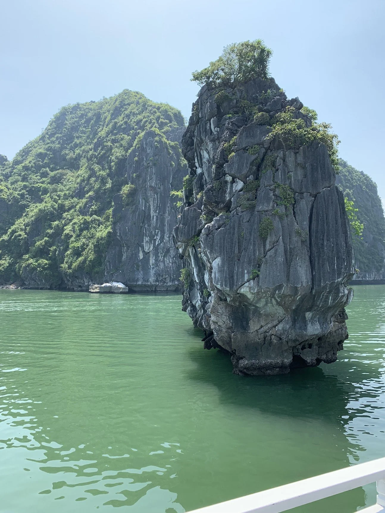 Towering limestone karsts rising from Halong Bay