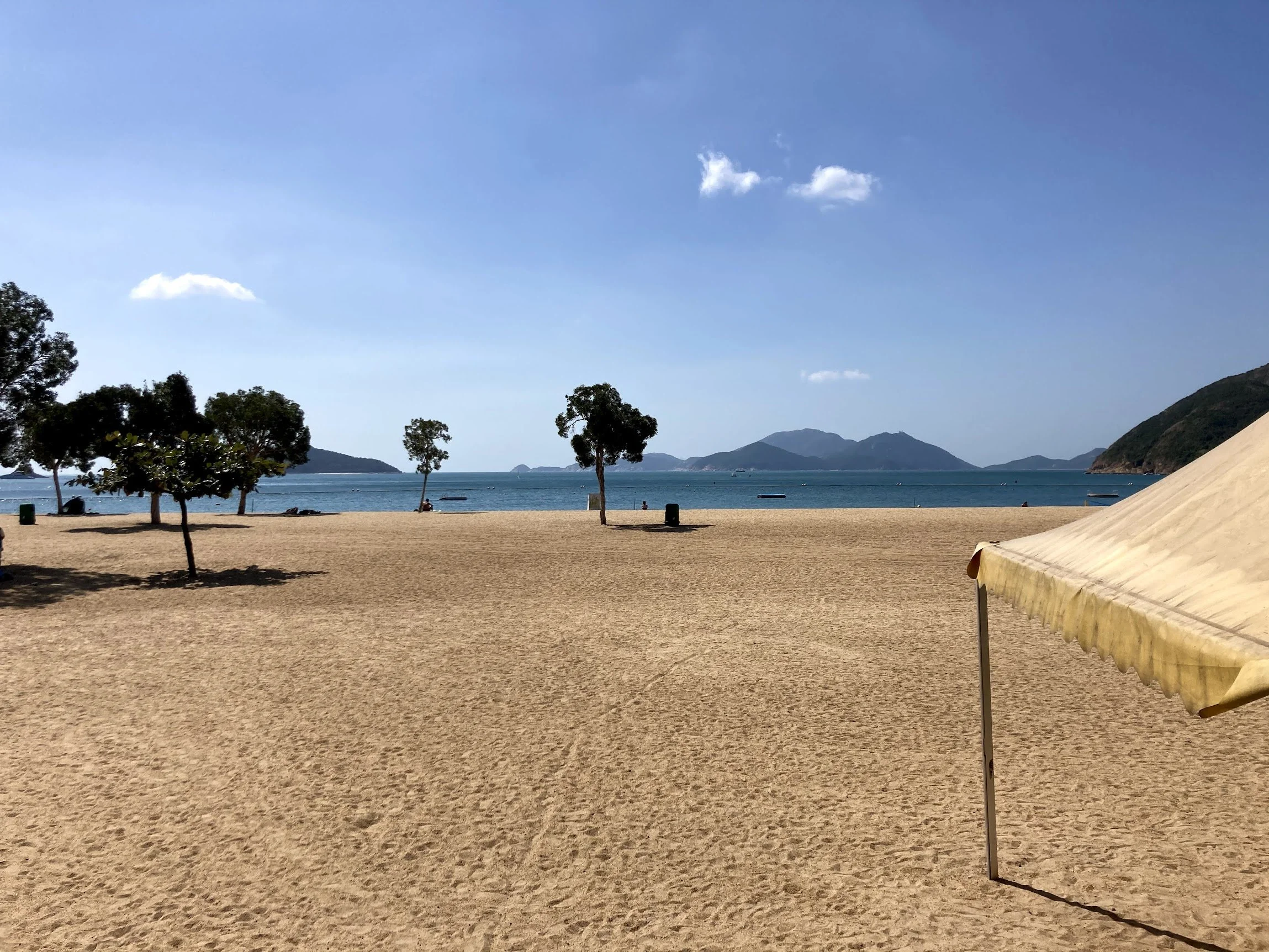 A wide sandy beach fringed with trees