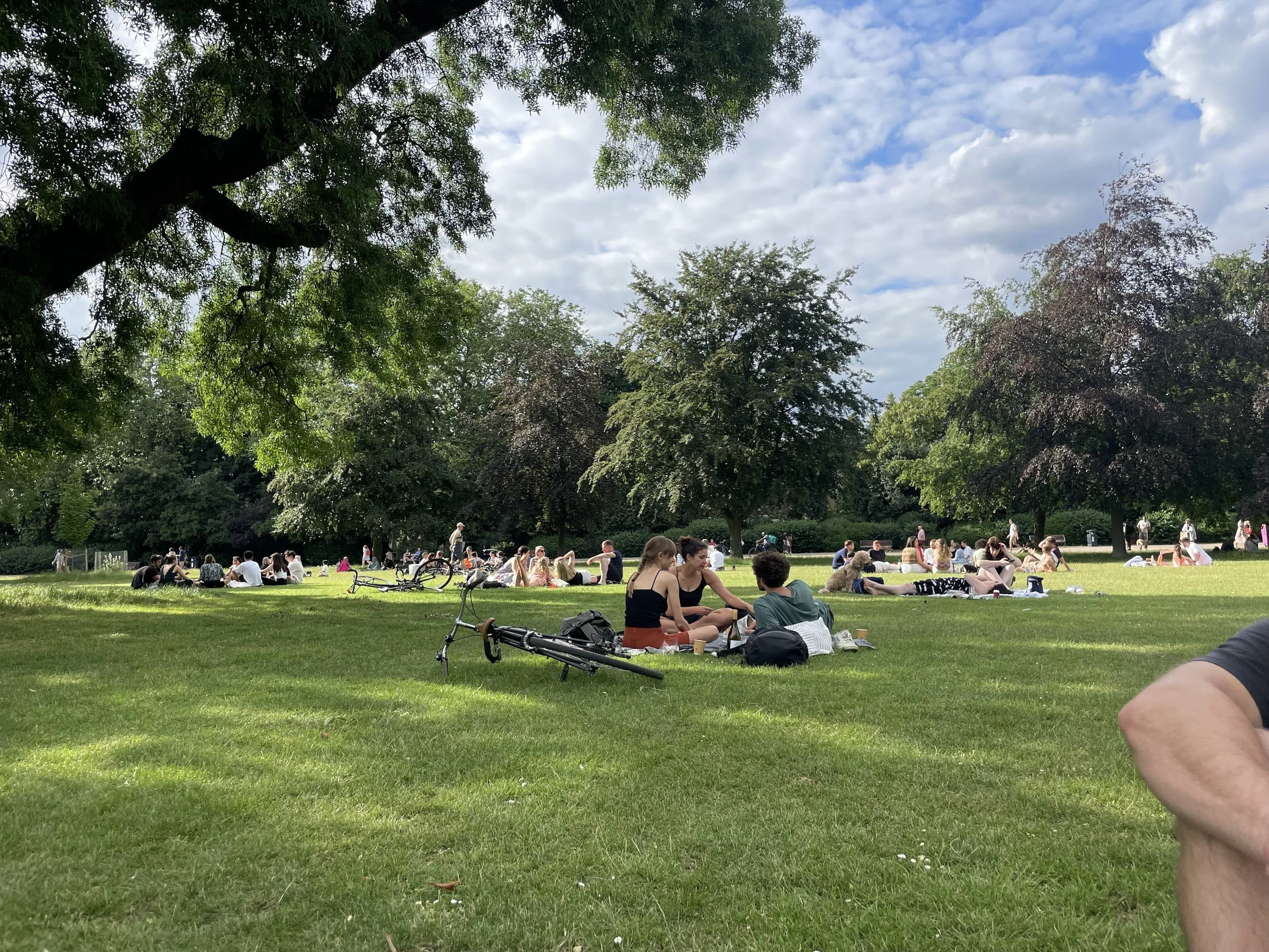 People relaxing on the grass in a sunny London park