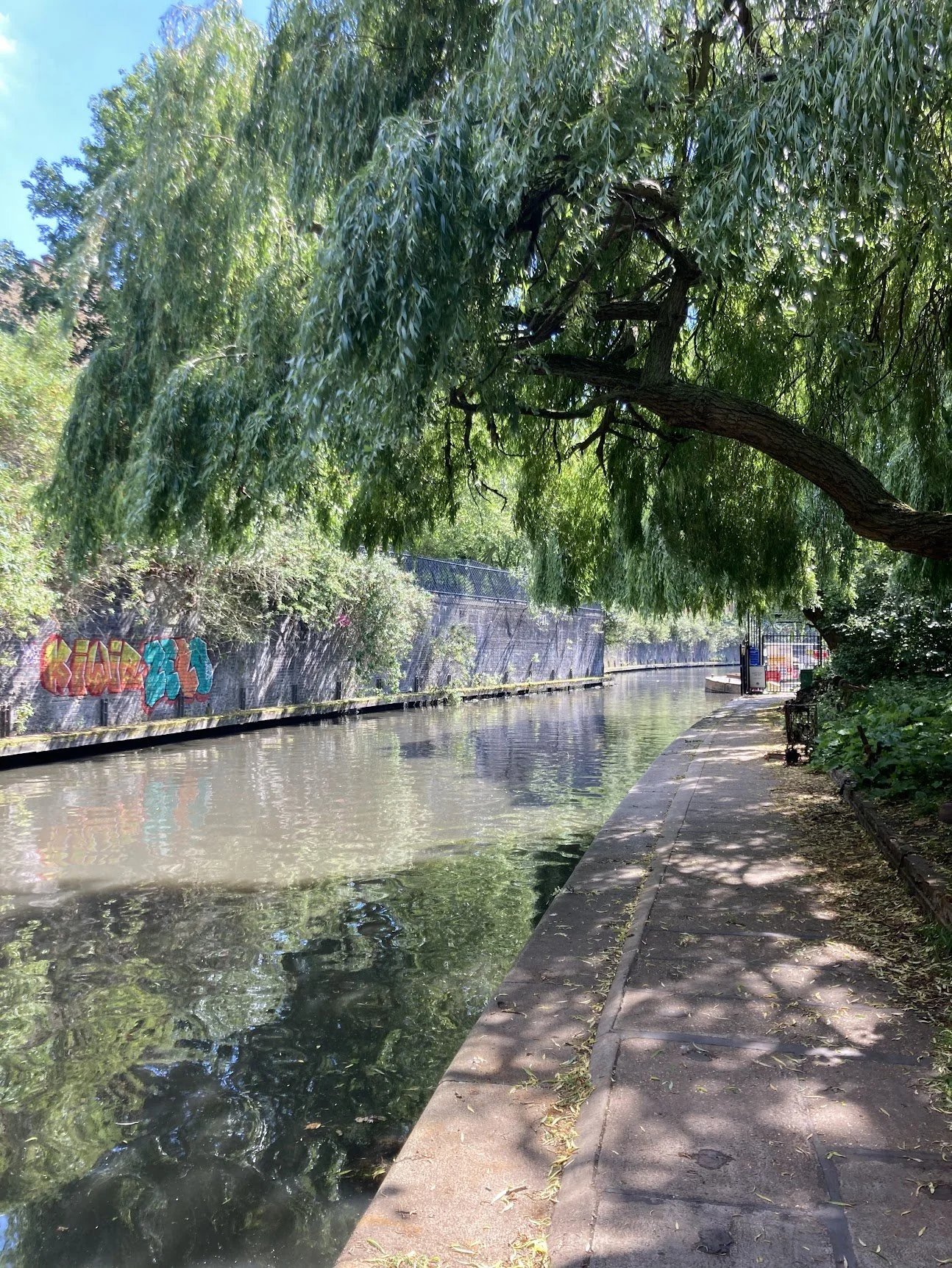 A willow-lined canal in Little Venice