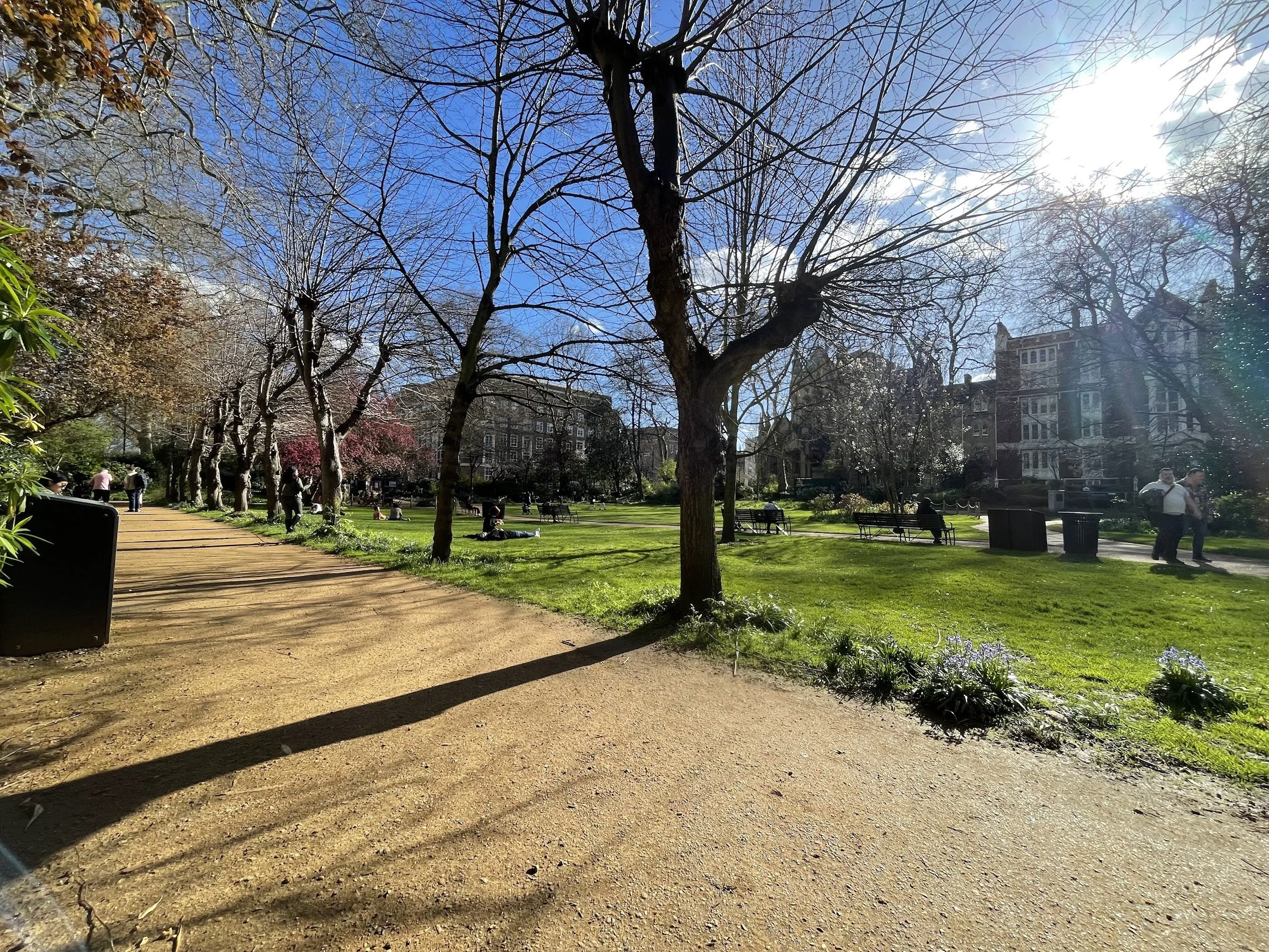 A tree-lined London park in autumn