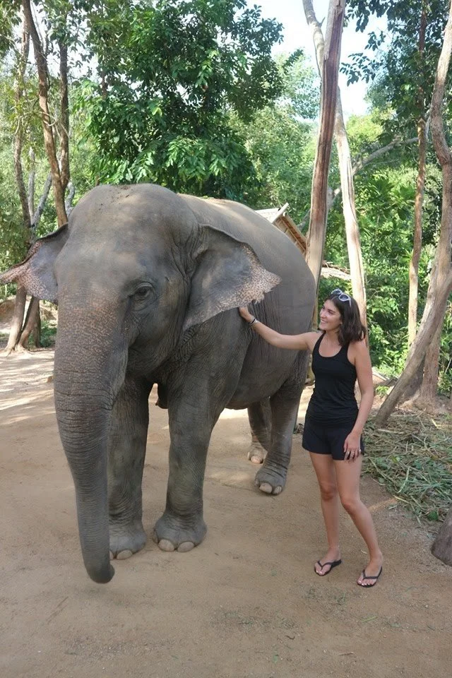 Meeting an elephant at a Phuket sanctuary