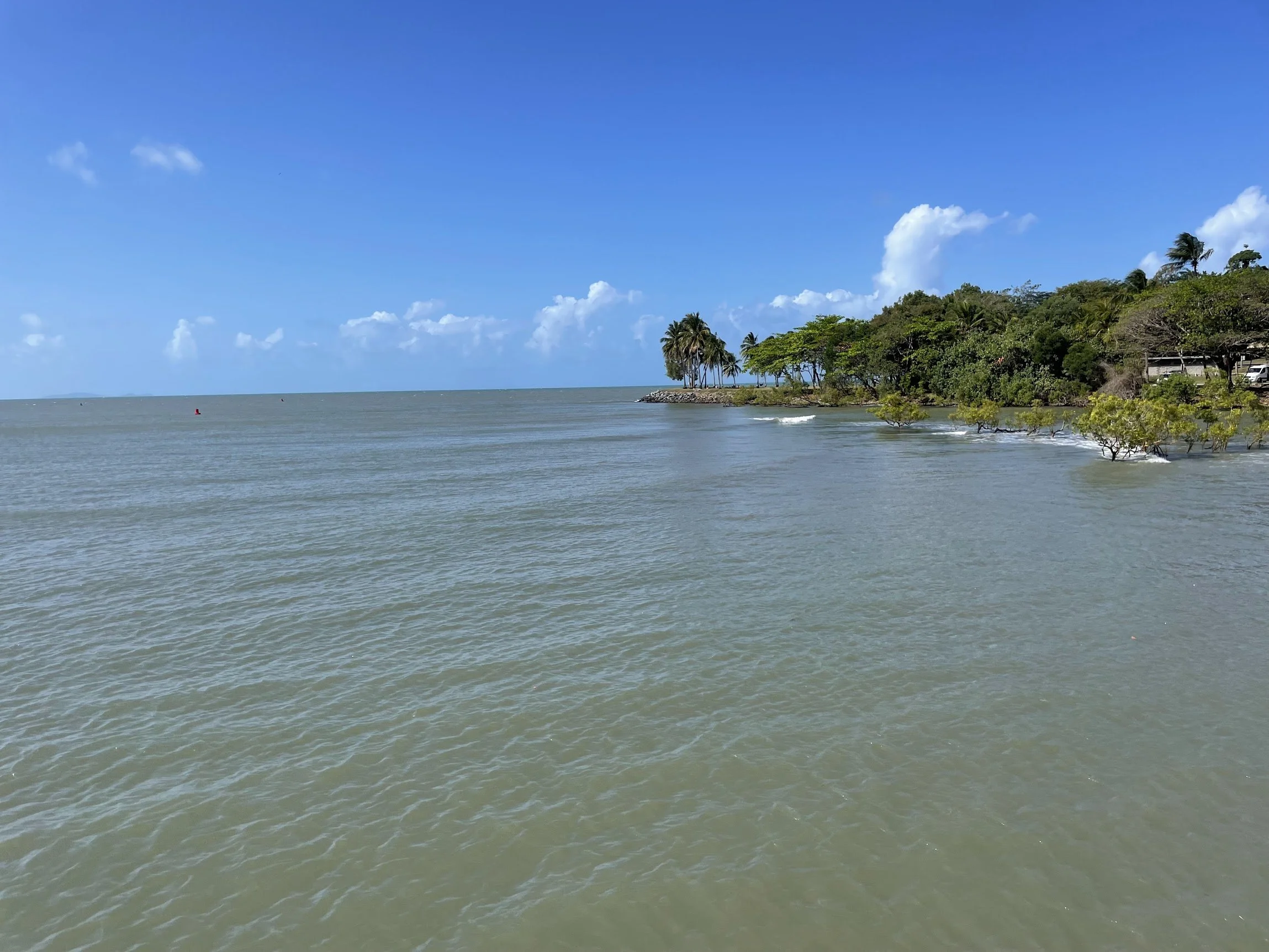 A calm tropical bay and forested headland near Port Douglas