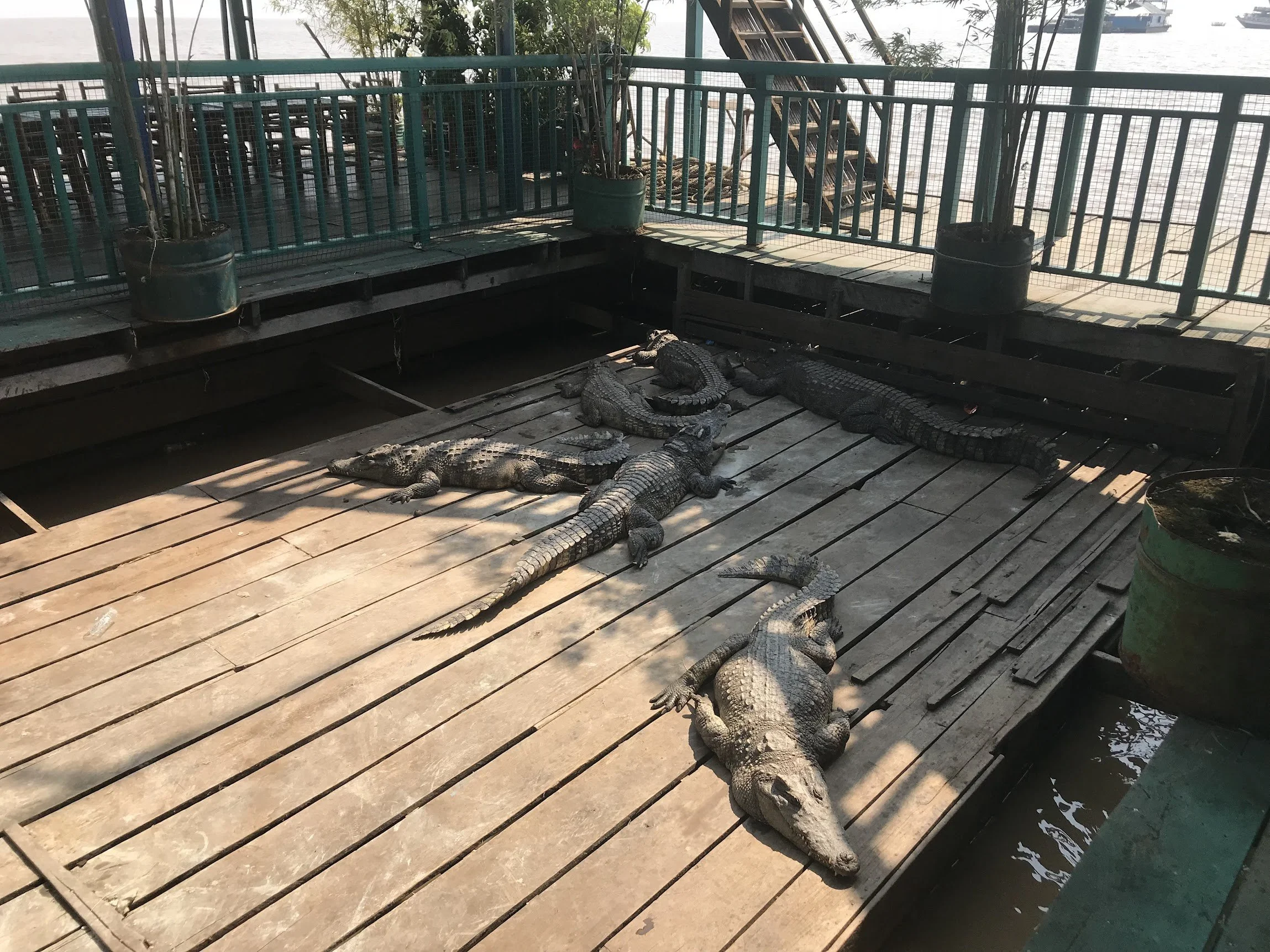 A wooden walkway leading through the temple grounds