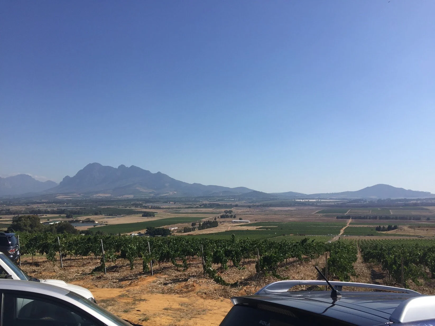 Vineyards below the mountains of the Cape Winelands