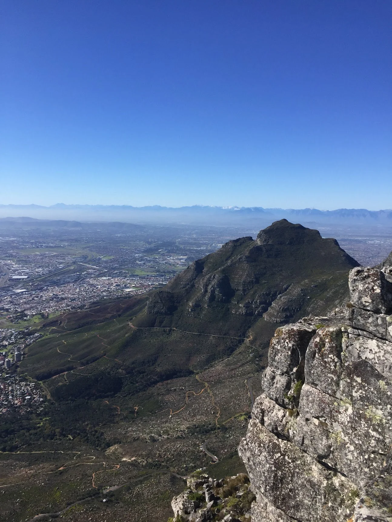 The rugged mountain ridges and fynbos of the Western Cape